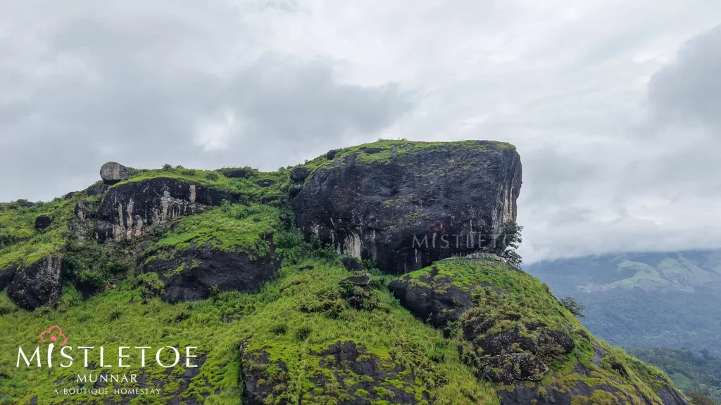 Pettimudi Peak